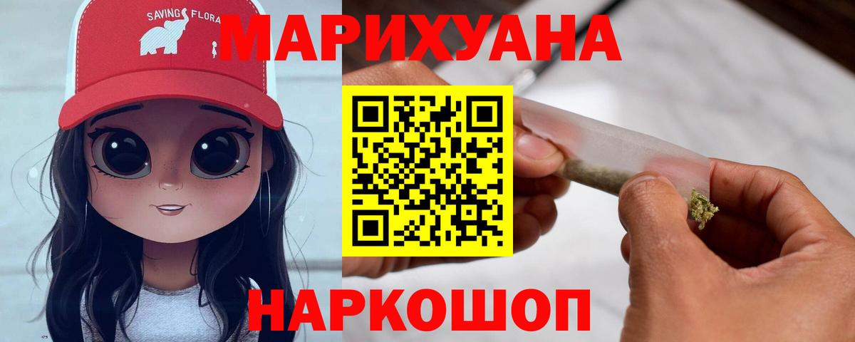 Каннабис план  Марихуана планчик  Вход с VPN  Марихуана планчик  Элиста  Бошки марихуана Ganja 